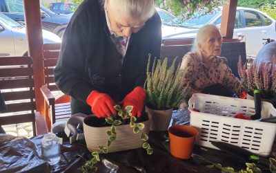 RELAKS Z ROŚLINAMI – HORTITERAPIA