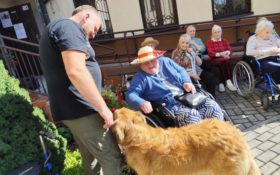 DOGOTERAPIA CZĘŚĆ 2