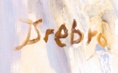 ODNALEZIONA EKSPRESJA – JOANNA SREBRO